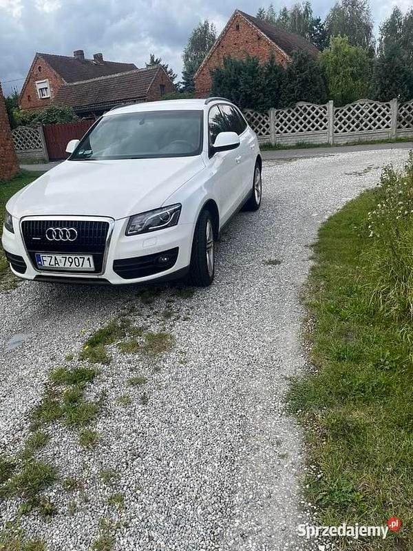 Biały Używany 2009 Audi Q5 SUV | 46 000 zł - Obraz 1/4