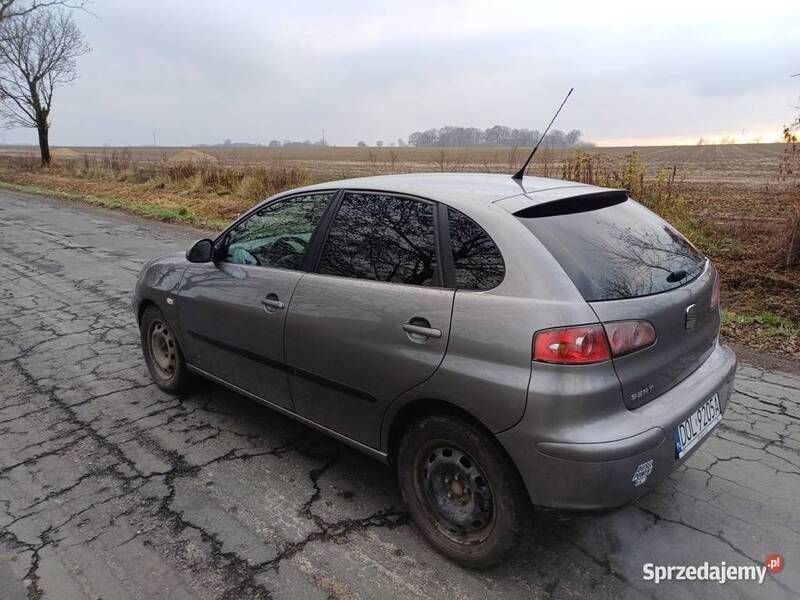 Używany Seat Ibiza 2004 Hatchback