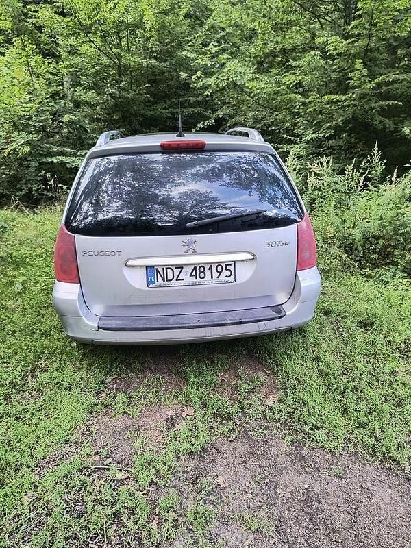 Używany Peugeot 307 2004 Srebrny Kombi