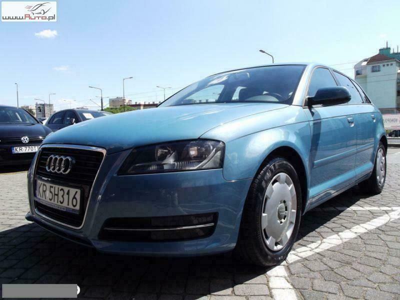 Niebieski (metalik) Używany 2010 Audi A3 Hatchback | 39 760 zł (Drogi) - Obraz 1/4