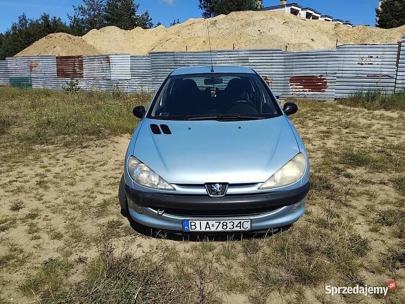 Używany 2002 Peugeot 206 | 1999 zł (Uczciwa cena) - Obraz 1/4