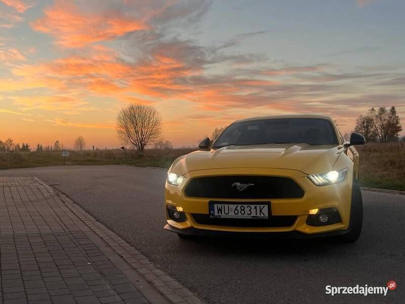 Używany Ford Mustang 2016