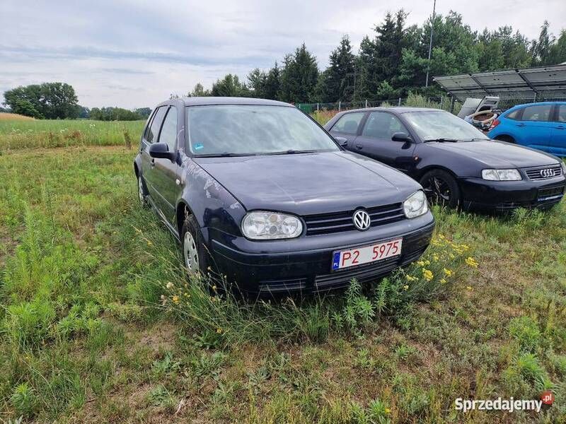 Granatowy Używany 1999 VW Golf IV Hatchback | 5000 zł (Drogi) - Obraz 1/4