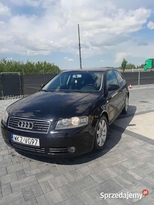 Czarny Używany 2003 Audi A3 Hatchback | 7000 zł (Uczciwa cena) - Obraz 1/4