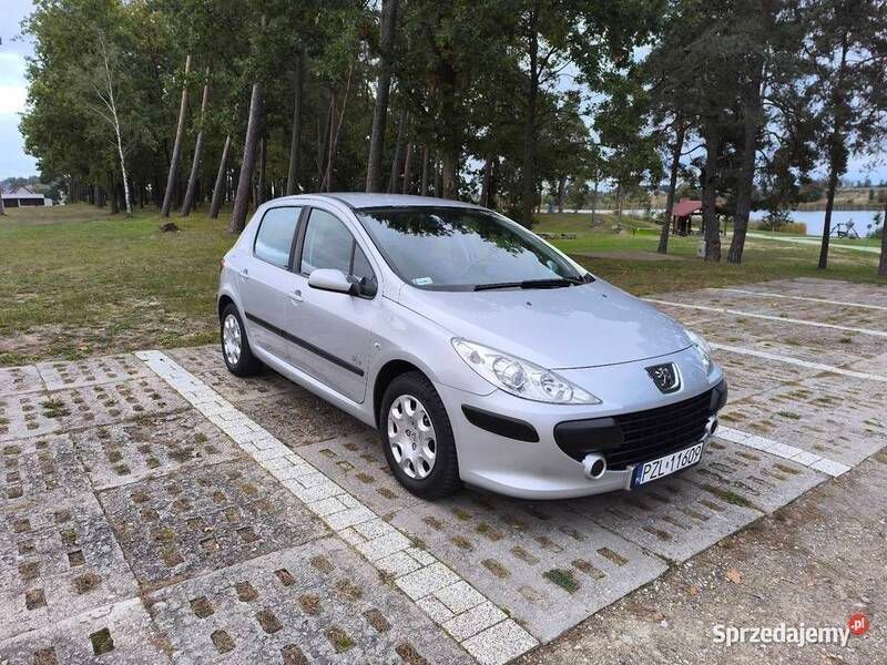 Srebrny Używany 2007 Peugeot 307 Hatchback | 9000 zł (Dość drogi) - Obraz 1/4