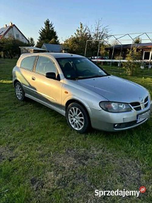 Używany 2002 Nissan Almera | 1400 zł - Obraz 1/4