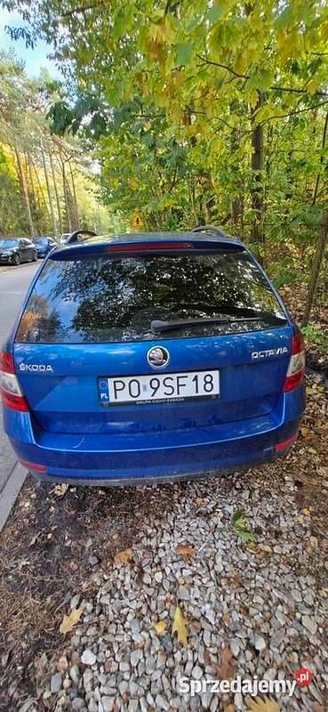Używany Skoda Octavia 150 KM (110 kW) 2019