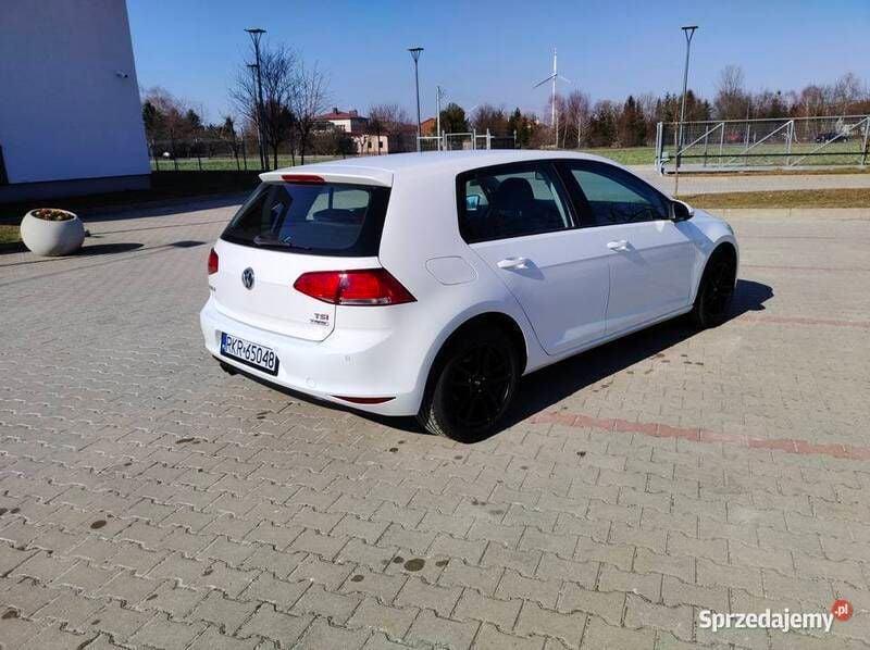 Obraz 4
