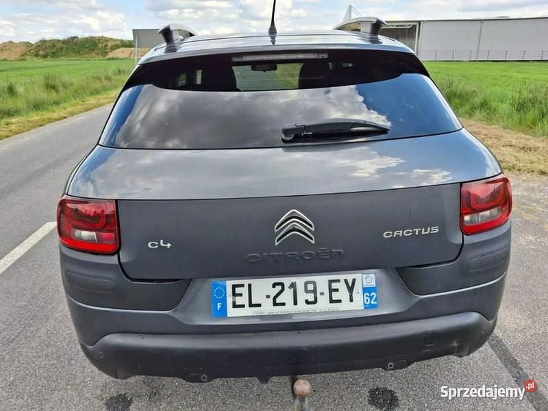 Używany Citroën C4 Cactus 99 KM (72 kW) 2017 Inny kolor Hatchback
