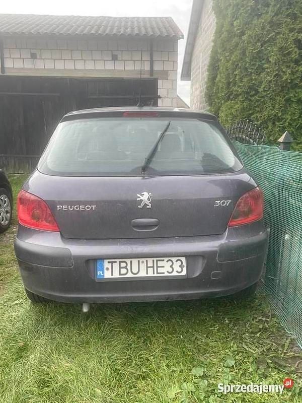 Używany Peugeot 307 2001 Hatchback