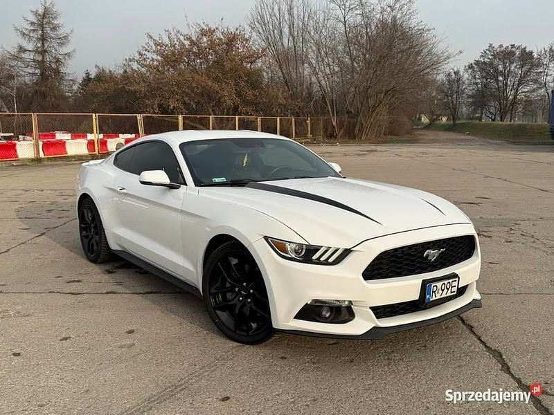 Używany Ford Mustang Performance Edition 372 KM (273 kW) 2015