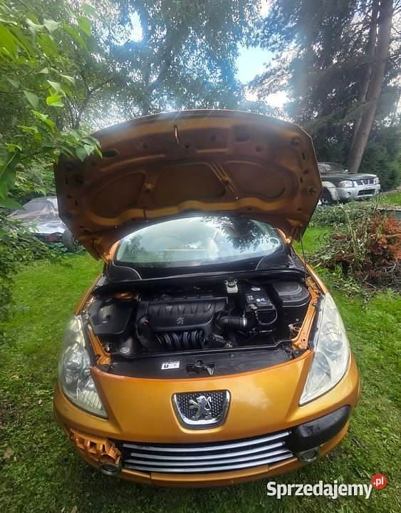 Złoty Używany 2005 Peugeot 307 CC Kabriolet | 3200 zł - Obraz 1/4