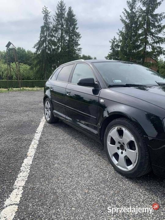 Czarny Używany 2008 Audi A3 Hatchback | 17 500 zł (Uczciwa cena) - Obraz 1/4