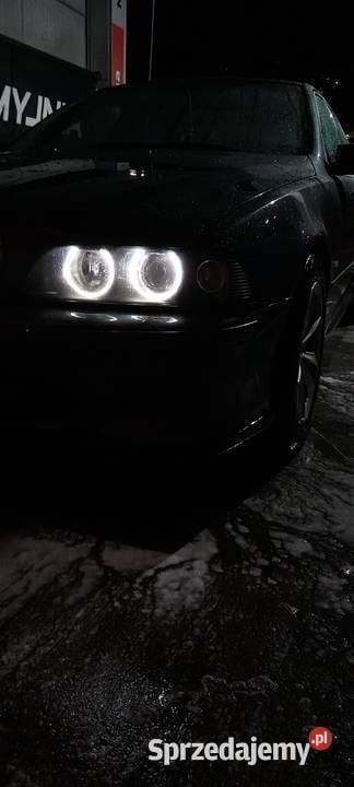 Używany 2003 BMW 530 | 10 500 zł (Super Cena) - Obraz 1/4