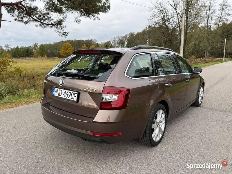 Używany Skoda Octavia 2019 Brązowy Kombi