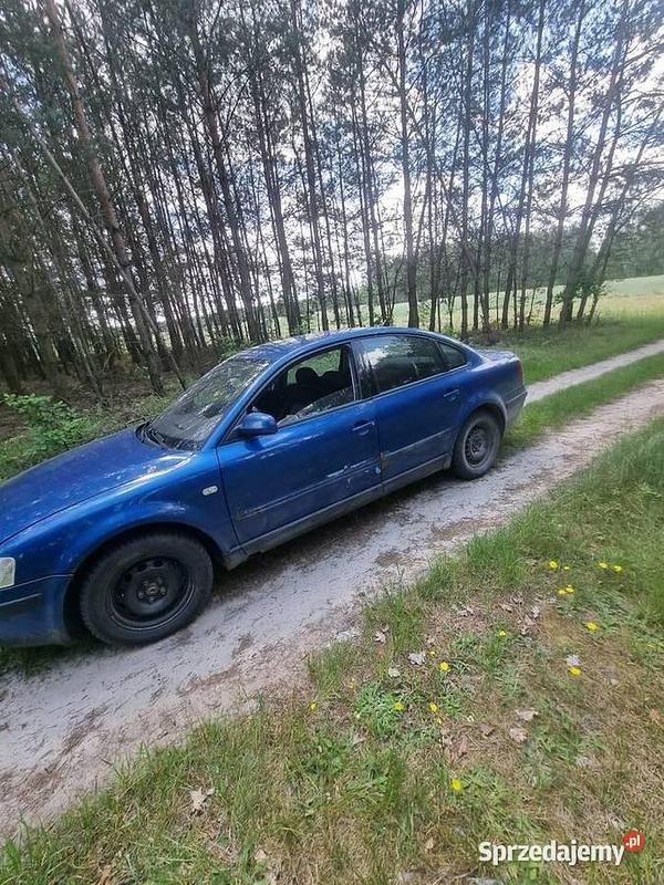 Obraz 2/4