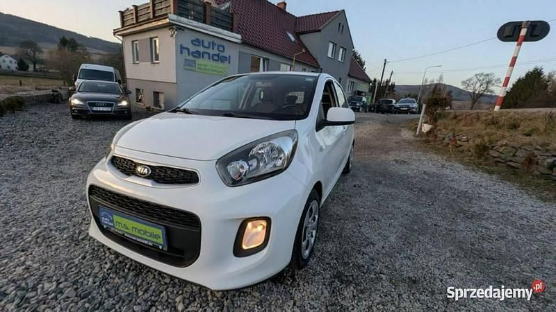 Używany Kia Picanto 67 KM (49 kW) 2016 Biały Hatchback