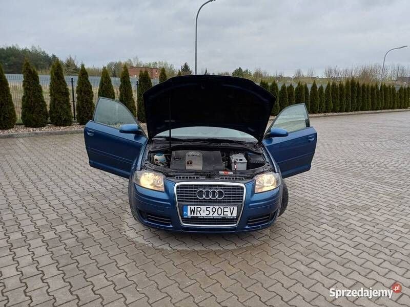 Używany 2006 Audi A3 | 14 600 zł - Obraz 1/4