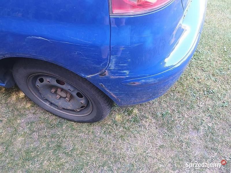 Używany 2005 Seat Ibiza | 2900 zł (Dobra cena) - Obraz 1/4