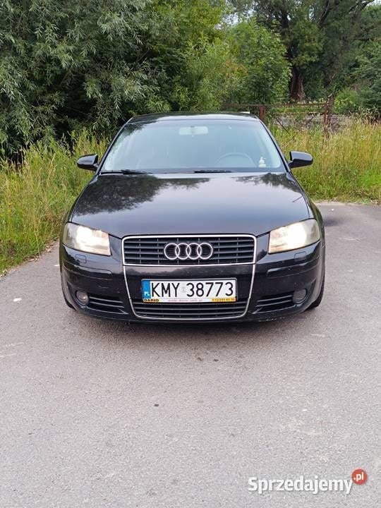 Czarny Używany 2004 Audi A3 S-Line Hatchback | 9000 zł (Uczciwa cena) - Obraz 1/4