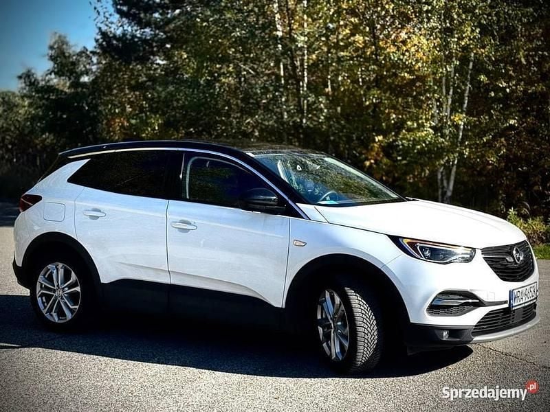 Biały Używany 2021 Opel Grandland X SUV | 65 900 zł (Uczciwa cena) - Obraz 1/4