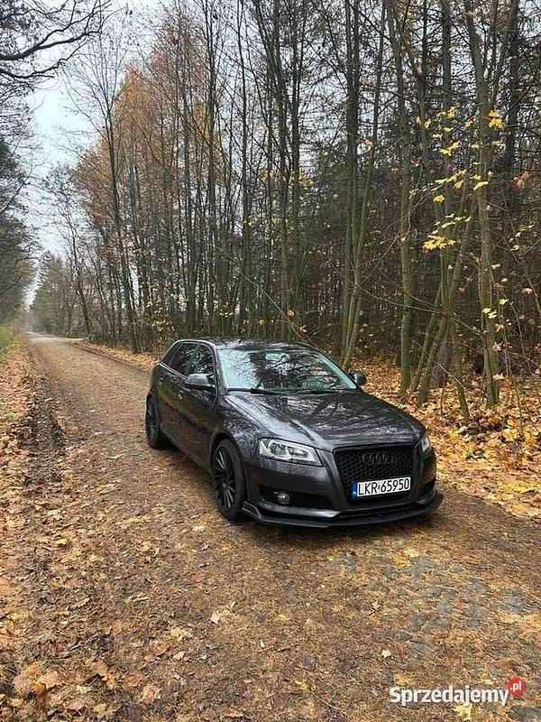 Czarny Używany 2008 Audi A3 Hatchback | 21 000 zł (Uczciwa cena) - Obraz 1/4