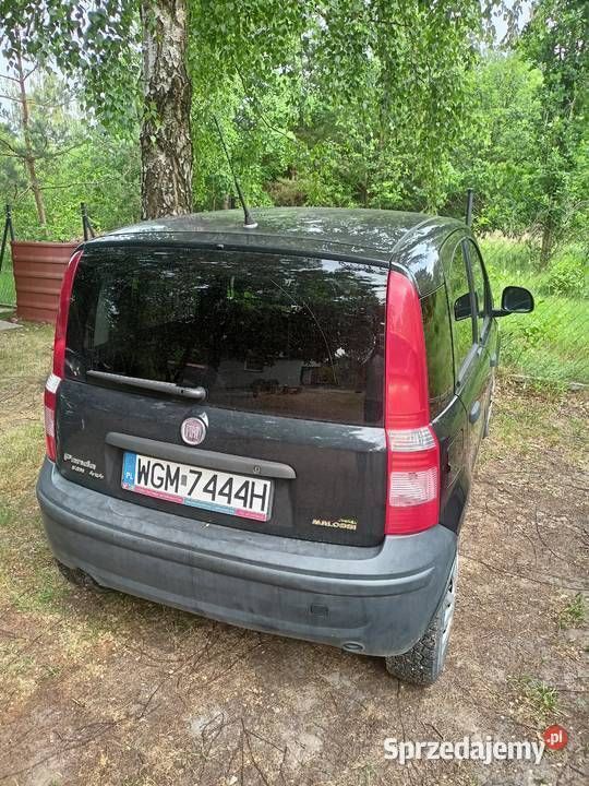 Używany 2012 Fiat Panda 4x4 Hatchback | 17 800 zł - Obraz 1/1