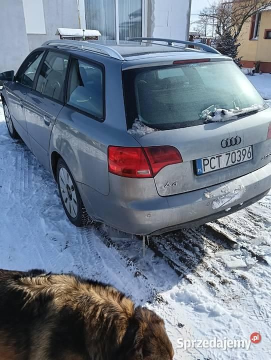 Używany Audi A4 2006 Kombi