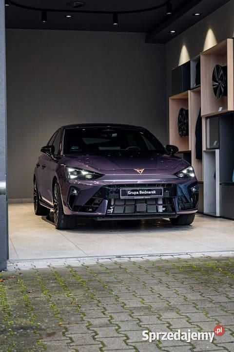 Nowe Cupra Leon VZ 2026 Fioletowy Hatchback