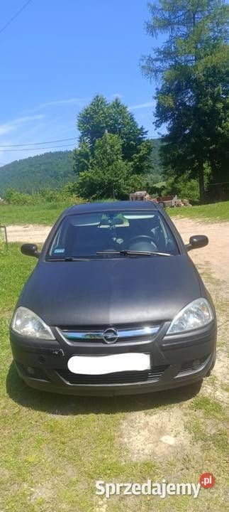 Czarny Używany 2004 Opel Corsa Hatchback | 4800 zł (Uczciwa cena) - Obraz 1/4