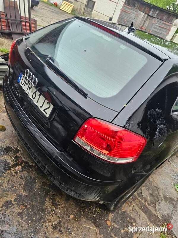 Obraz 3
