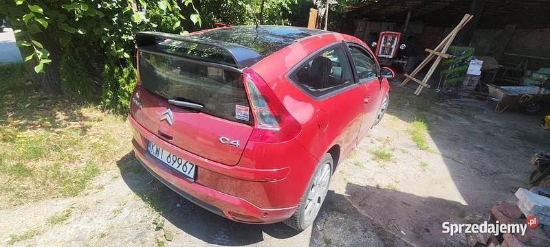 Obraz 3/4