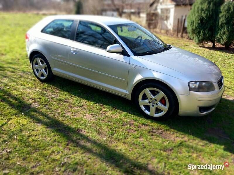 Używany 2004 Audi A3 | 8500 zł (Uczciwa cena) - Obraz 1/4
