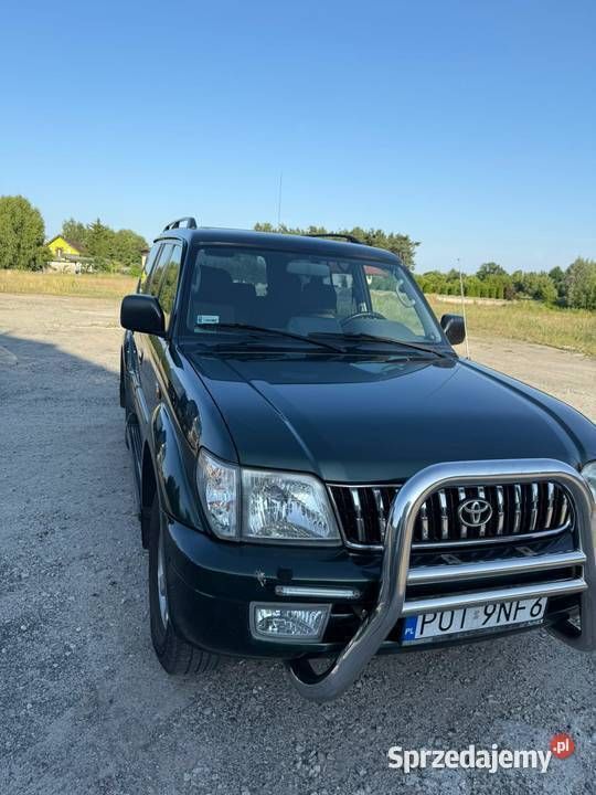 Obraz 2/4