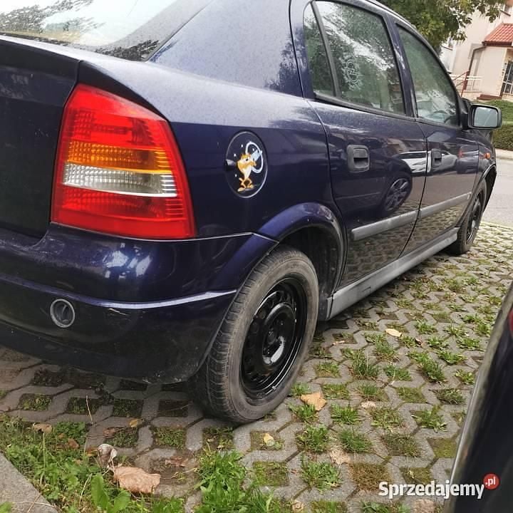Obraz 2/3