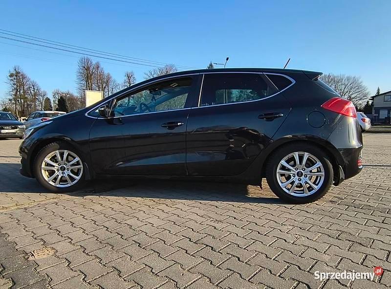 Używany Kia Ceed 135 KM (99 kW) 2016 Hatchback