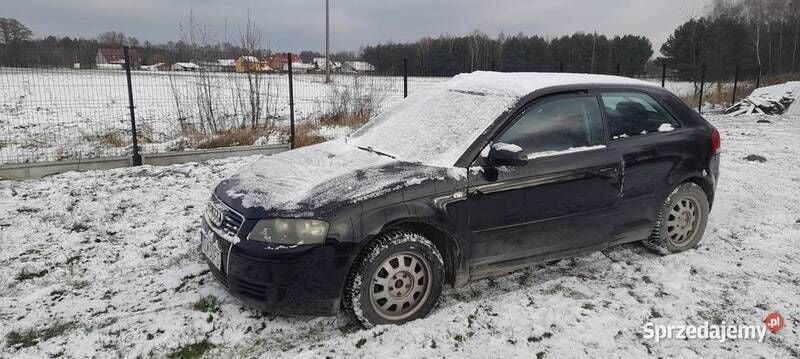 Używany Audi A3 2003 Hatchback
