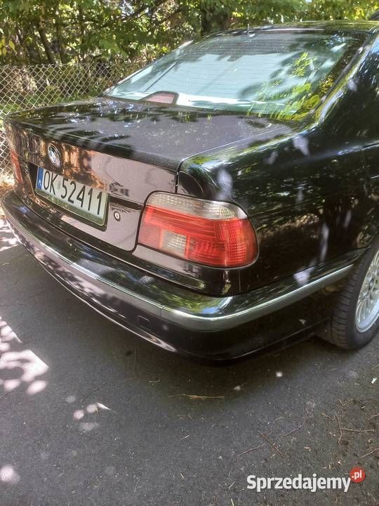 Obraz 3