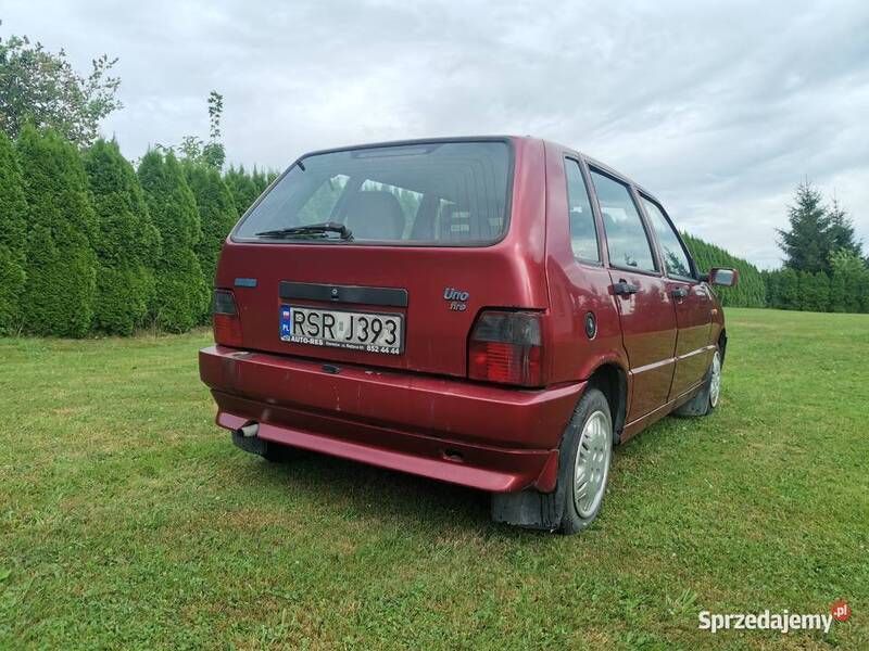 Obraz 3/3
