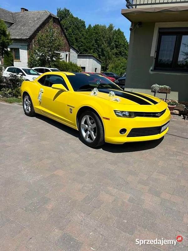 Używany 2015 Chevrolet Camaro | 82 000 zł (Drogi) - Obraz 1/4