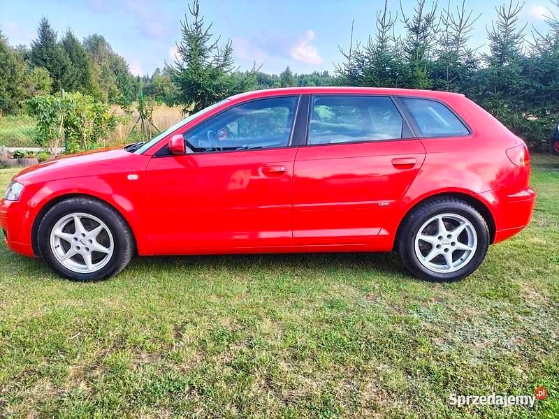 Używany 2005 Audi A3 S-Line | 12 900 zł (Uczciwa cena) - Obraz 1/4