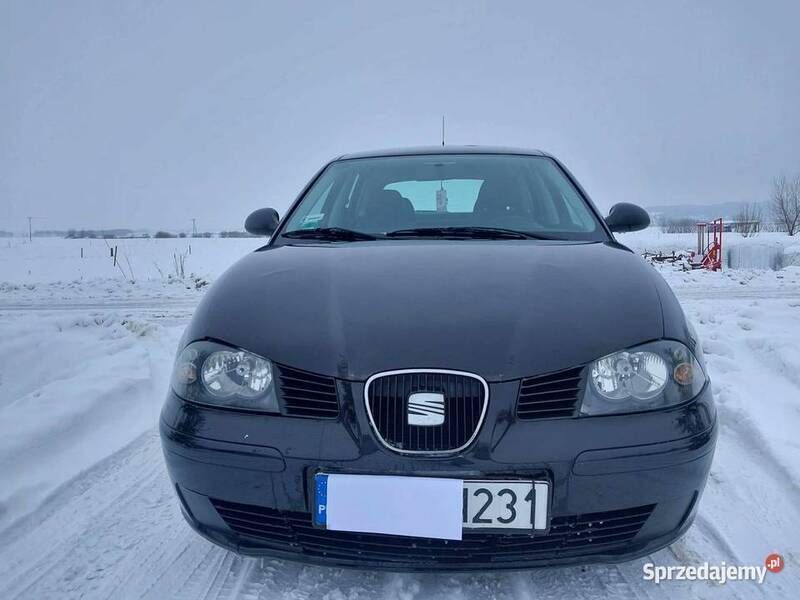 Używany Seat Ibiza 2004 Hatchback