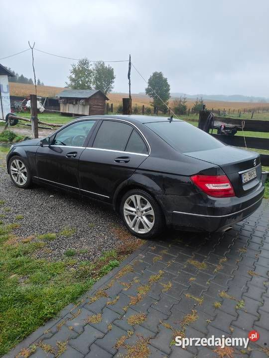 Obraz 4/4