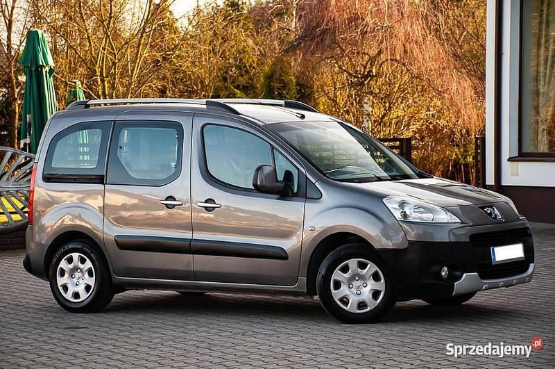 Używany Peugeot Partner 109 KM (80 kW) 2008 Minivan