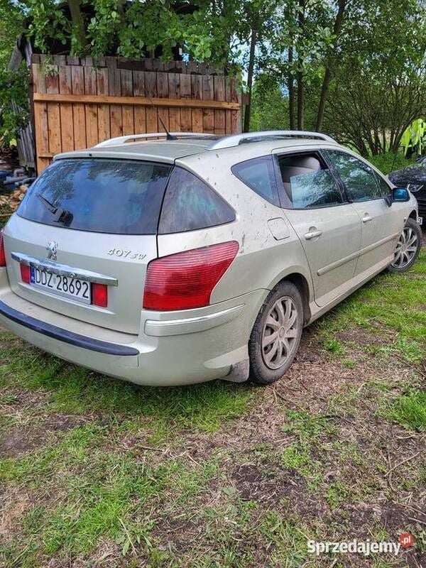 Używany Peugeot 407 136 KM (100 kW) 2007