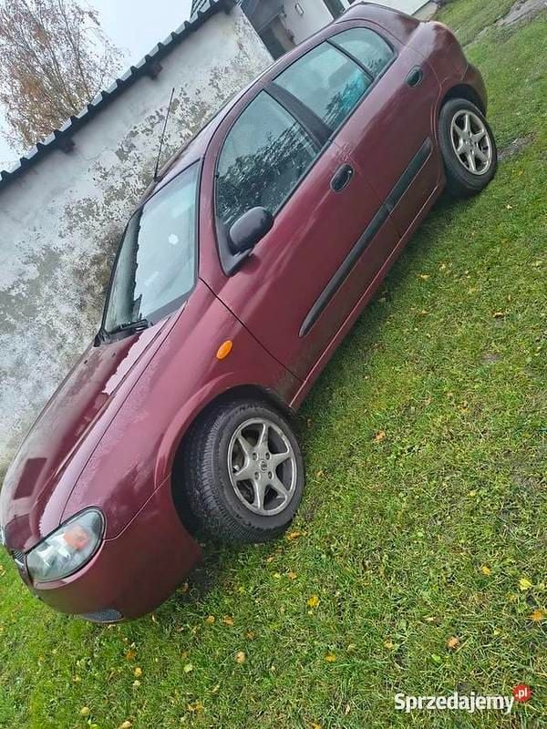 Używany 2004 Nissan Almera Hatchback | 2800 zł (Uczciwa cena) - Obraz 1/2