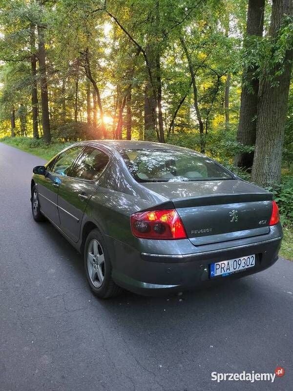 Używany Peugeot 407 110 KM (80 kW) 2007