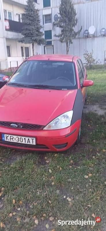 Czerwony Używany 2002 Ford Focus Hatchback | 1500 zł (Uczciwa cena) - Obraz 1/3