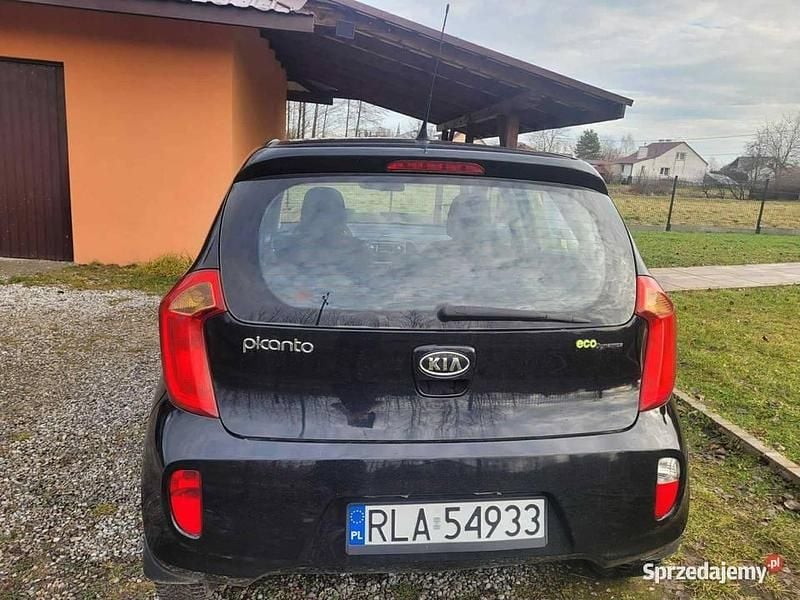 Używany 2011 Kia Picanto Hatchback | 9500 zł (Uczciwa cena) - Obraz 1/4
