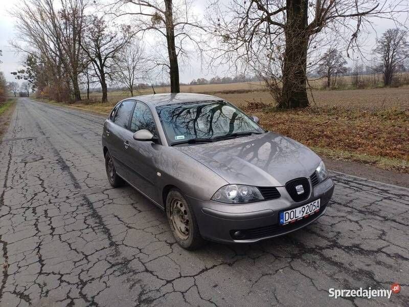 Używany Seat Ibiza 2004 Hatchback